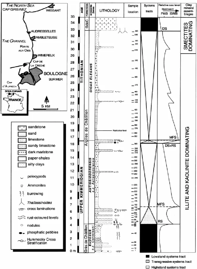 Fig. 1. Lithostratigraphy and ammonite biozonation (Herbin et al., 1995) of the Kimmeridgian–Tithonian of the  Cap de la Crèche Section and their correspondence with relative sea-level (Proust and Proust)