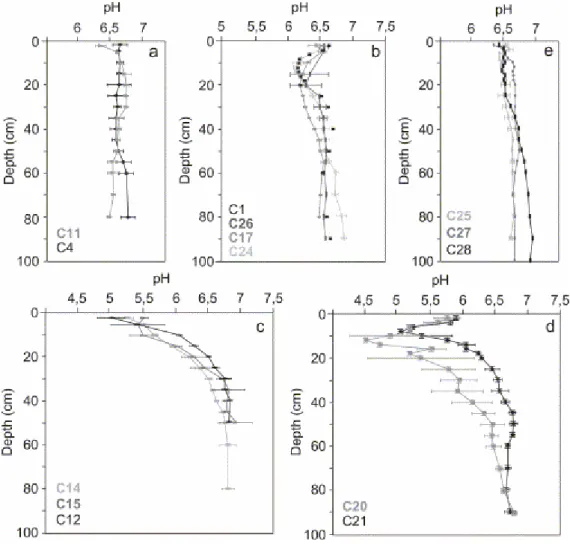 Fig. 5. Depth distribution of pH beneath different mangrove forests. Mean values on  duplicated cores