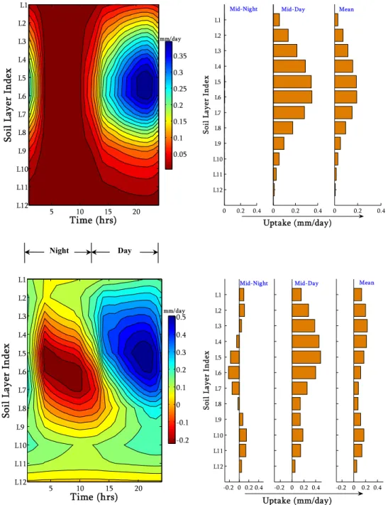 Fig. 8. Diurnal profiles of moisture uptake by plant roots for the study site: (top) without hydraulic redistribution, and (bottom) with hydraulic redistribution