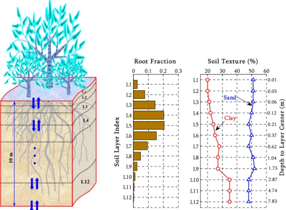 Fig. 4. (left) Schematic view of soil layers. (middle) profile of fraction of roots and (right) profile of soil texture in each soil layer for the study site depicted in Fig