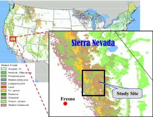 Fig. 5. Location and forest cover of the Sierra Nevada study site (source: http://nationalatlas.