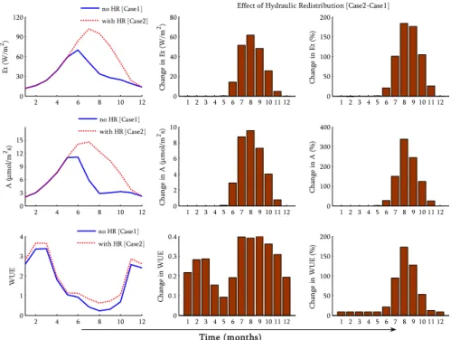 Fig. 11. Comparison of simulated annual cycles of transpiration, assimilation, and WUE for Case 1 and Case 2 for the study site
