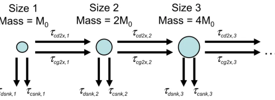 Fig. 2. Overview of size discretization, growth processes, and loss processes in the PUG model