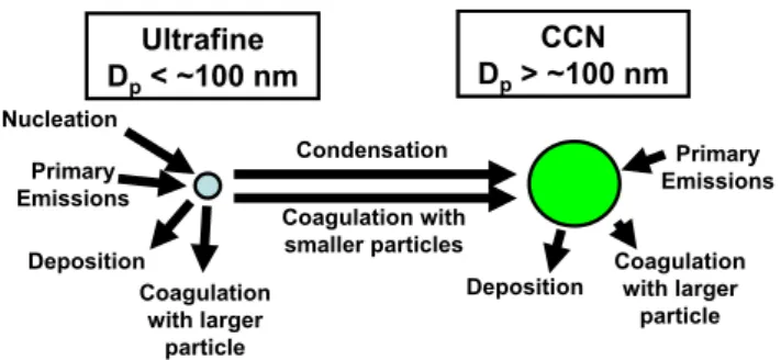 Fig. 1. Source, sink, and growth processes affecting ultrafine and CCN particles.