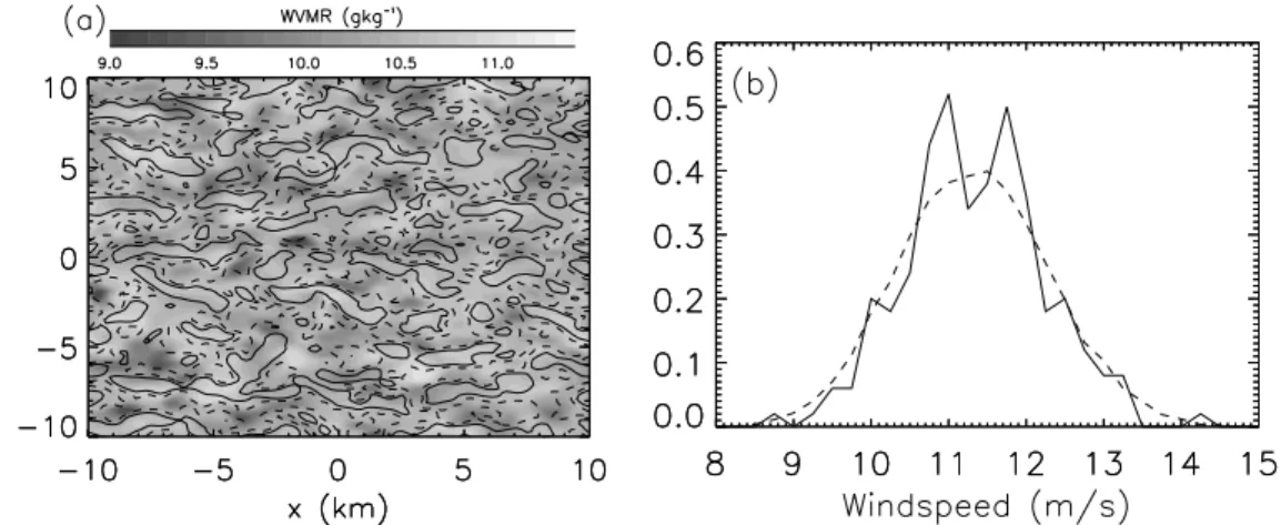 Fig. 10. Results from LEM simulations of the B301 boundary layer at 13:00 UTC from 627 m above the ground: (a) WVMR (greyscaled) and vertical velocities (line contours at ±1 ms −1 , dashed are negative)