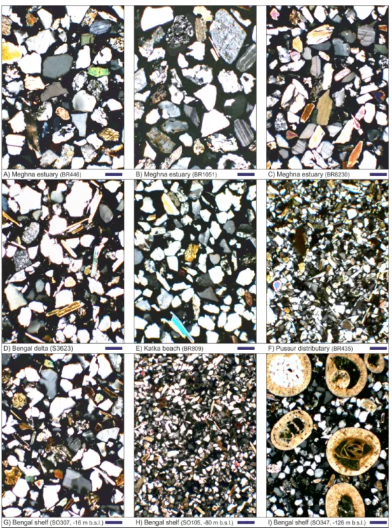 Figure 2. Petrography of litho-feldspatho-quartzose to feldspatho-quartzose sediments of the Meghna  estuary, subaerial Bengal delta, and Bengal shelf