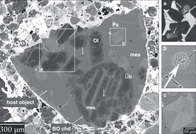 Fig. 2. BSE image of the compound object. Inset (a) is a CL image. The white cores in two olivines (white arrows) are indicative of refractory forsterites with very low Fe- and high Ca, Al-concentrations