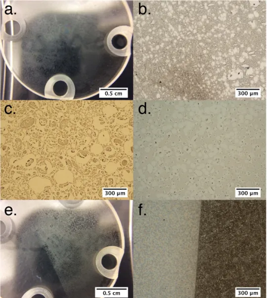 Figure 2. Images of MCORs and DCORs. ( a ) Large views of the MCOR on a corundum substrate ( experiment P2 ) 