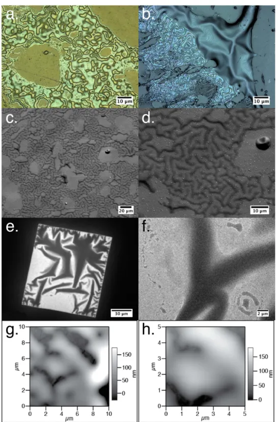 Figure 3. Representative images of MCORs taken by the laser-equipped microscope for experiment P3 ( a ) and P2 ( b ) , by FE-SEM for experiment P3 ( c and d ) , by TEM for experiment P5 (e and f), and by AFM for experiment P6 (g and h)