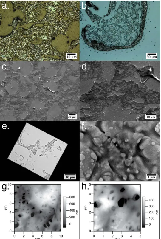 Figure 4. Representative images of DCORs taken by the laser-equipped microscope for experiments P3 ( a ) and P2 ( b ) , by SEM for experiment P3 ( c and d ) by TEM for experiment P5 ( e and f ) , and by AFM for experiment P2 ( g and h ) 