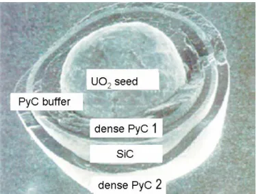 Figure 4 Nuclear fuel particle (diameter: 400 to 600 µm) coated with a multilayer of porous pyrocarbon (PyC  buffer), dense pyrocarbons (dense PyC) and silicon carbide (SiC)