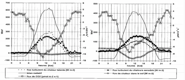 Figure 4: Evolution journalière moyenne des flux turbulents d’une pinède (à gauche) et  de maïs (à droite) au cours du mois de juin 2005