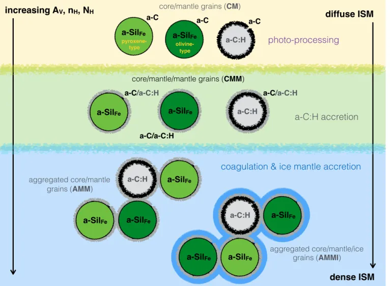 Fig. 1. Schematic view of the dust composition and stratification between diffuse ISM and dense molecular clouds