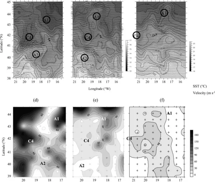 Figure 2. Contour plot of sea surface temperature at 5 m and the geostrophic current velocity at 50 m, represented by black arrows (reference: 1 m s 1 ) for (a) winter, (b) spring, and (c) late summer