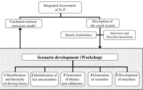 Fig. 2. Flowchart of the methodological process for local scenarios development through a participatory process.