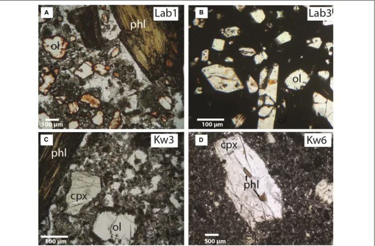 FIGURE 2 | Representative microphotographs of sampled lavas: nephelinites from (A,B) Labait (Lab1, Lab3), (C,D) Kwaraha (Kw3, Kw6) Abbreviations: ol, olivine;