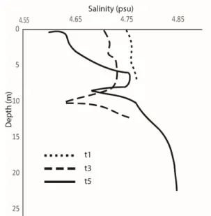 Figure 2: Salinity profiles for stations t1 (dashed), t3 (solid), and t5 (dotted). 