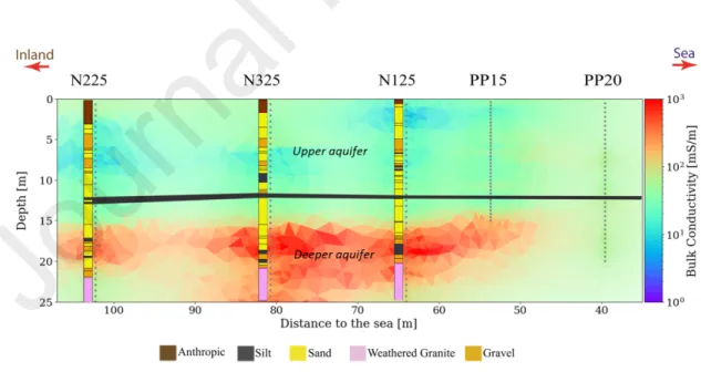 Figure 5. Bulk electrical conductivity model obtained from CHERT data. The anomaly in red, extending throughout the  cross-section, 2 m below the continuous layer of silt placed at 12 m depth (in grey), indicates the presence of seawater  in the aquifer