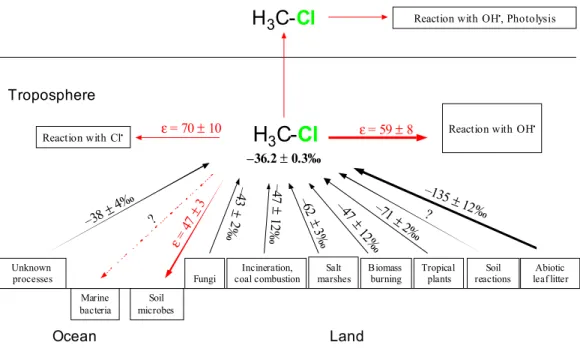 Fig. 1. Scheme of major sources and sinks involved in the global CH 3 Cl cycle and the corre- corre-sponding carbon isotope signatures and fractionation factors