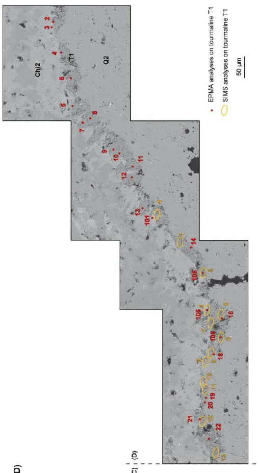 Figure 6. Locations of the EPMA (red dots for the tourmaline T1 and green dots for the chlorite Chl2) and SIMS (orange ellipse) in situ analyses