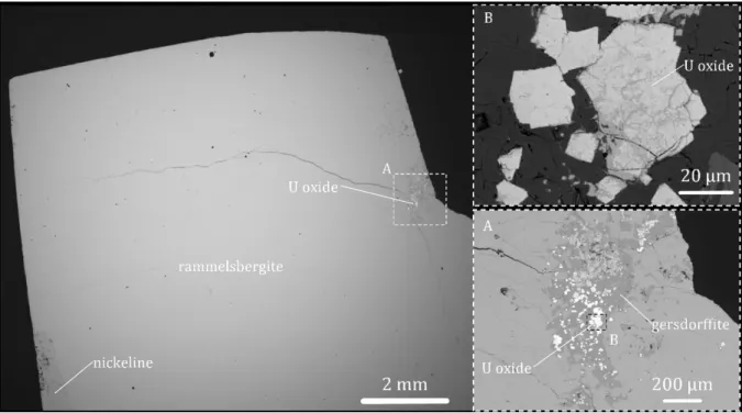 Fig. 3 SEM-BSE images of the massive rammelsbergite vein material from the WC530 borehole, 457.2 m depth,  822 