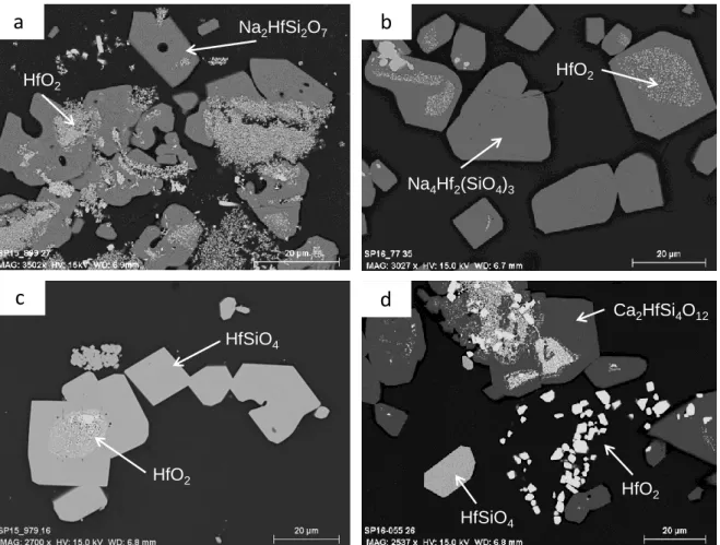 Figure 7. SEM images of crystals in HfO 2 -saturated glasses from A starting glass (a) at 1250°C in C-SiC crucible,  (b) at 1250°C or 1400°C in Pt-Au crucible and from B starting glass at 1400°C (c) in C-SiC or C crucibles, (d) in  Pt-Au crucible