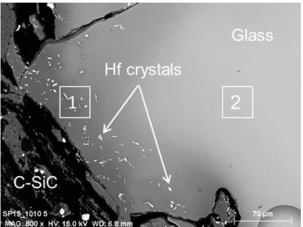 Figure 9. SEM image of the interface between the C-SiC crucible and the glass in the AS6 sample, showing (1)  and (2) different areas