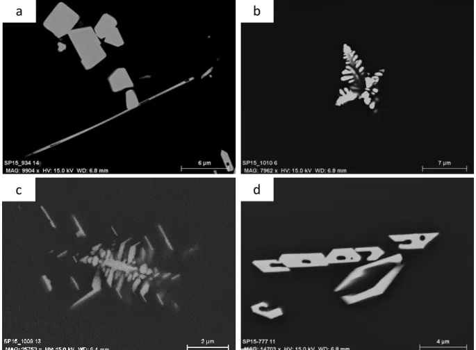 Figure  10.  SEM  images  of  Hf-bearing  crystals  observed  in  Hf-doped  A  glasses  melted  in  C-SiC  crucible  at  1400°C with several morphologies (a) needle shaped, (b,c) dendritic shaped and (d) crown shaped 