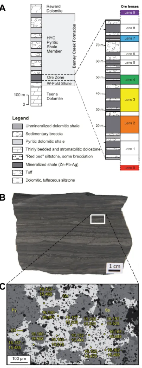 Figure 2.  Stratigraphy of sample location in  the McArthur River Zn-Pb deposit  (North-ern Territory, Australia) and description of a  typical sample