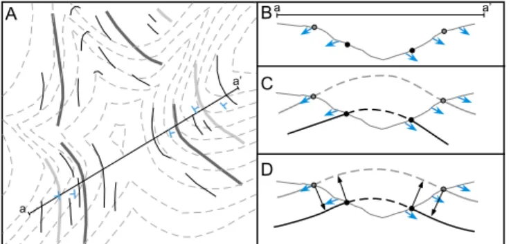 Fig. 1. Typical information derived from remote sensing data to constrain 3D geological models, and possible modeling strategy