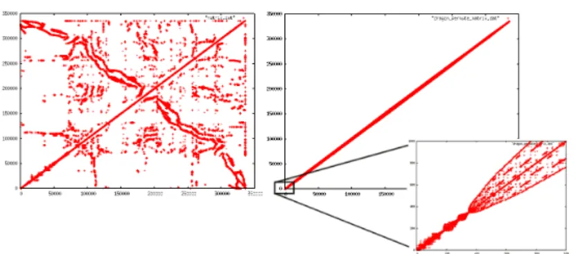 Figure 3: The matrix for smoothing before re-ordering (left) and after RCMK re-ordering (right)