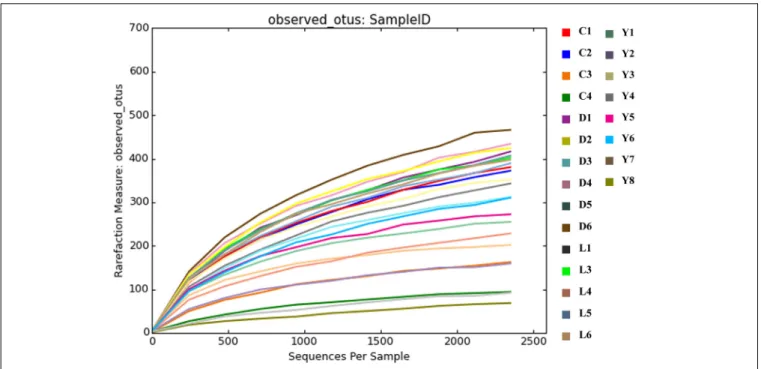 FIGURE 5 | Rarefaction curves depicting the coverage of species after the rarefaction step