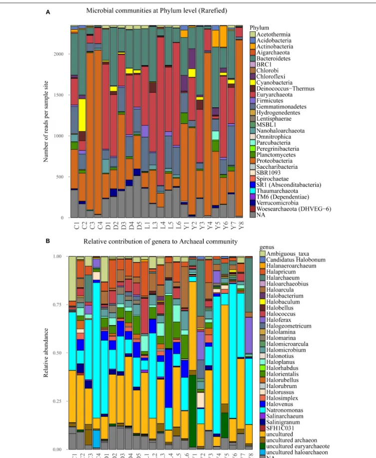 FIGURE 6 | (A) Stacked bar depicting the microbial composition at phylum level in the sediment samples of the rarefied dataset
