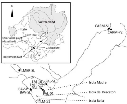 Figure 1. Lake Maggiore watershed (Italy/Switzerland): white box = position of the chlor-alkaly  plant; black dots = sampling sites for indigenous chironomids, oligochaetes and bottom sediments; 