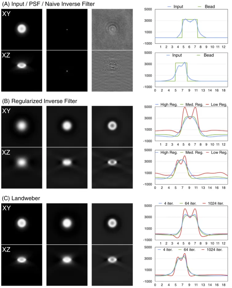 Fig. 6. Two orthogonal sections (XY and XZ) of the volumetric data before and after deconvolution