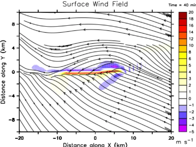 Figure 8 presents streamlines of the horizontal wind and the vertical wind velocity at 1000 m a.s.l
