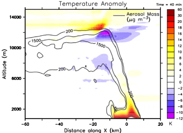 Fig. 10. Simulated updraft velocity (color coding) and aerosol mass concentration (contour lines) after 40 min along the cross section at y=0.