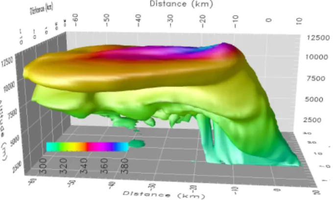 Figure 4 shows the simulated extent of the 150 µg m −3 - -isosurface of the aerosol mass distribution after 40 min of
