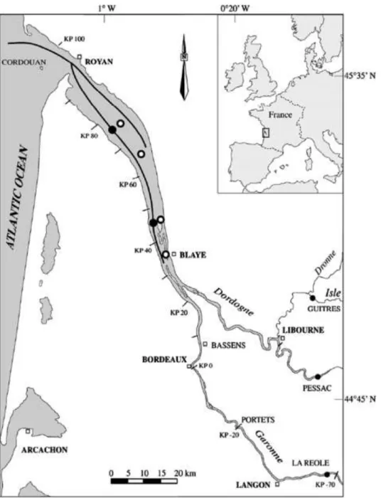 Fig. 1. Map  of the Gironde Estuary. Kilometric  Points (KP) ¼ distance  (km) from the city of Bordeaux.