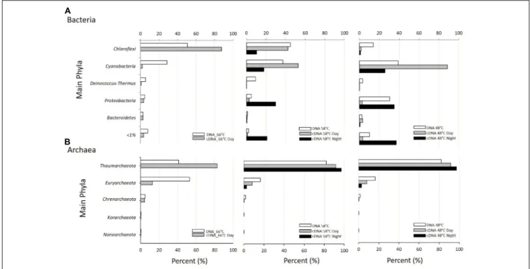 FIGURE 2 | Taxonomic assignment at the Phylum level of metagenomic (DNA; white bars) and metatranscriptomic reads (cDNA day: gray bars; cDNA night: black bars) from samples at the three temperatures studied