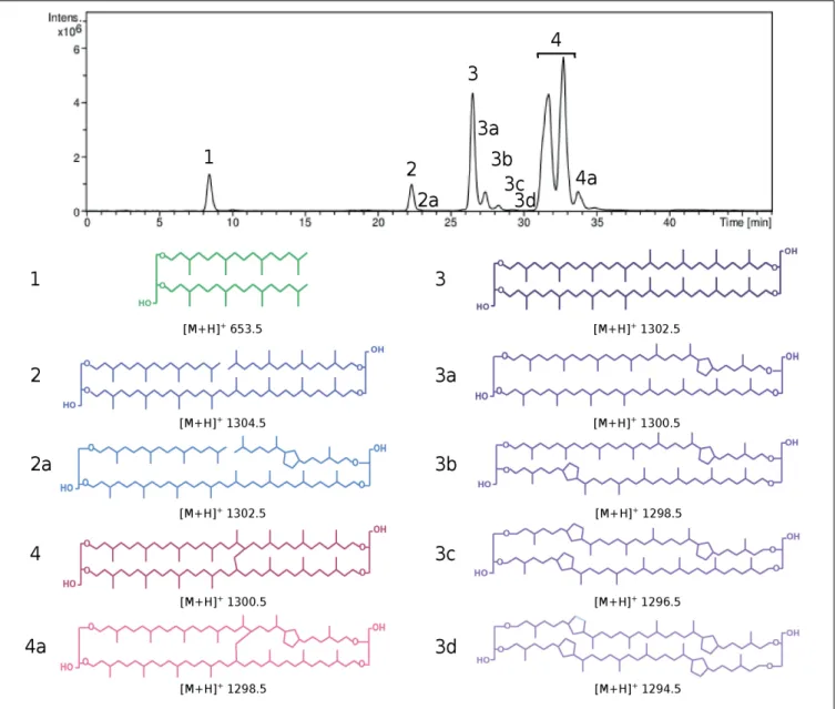FIGURE 1 | HPLC chromatogram (top) and lipid core structures (bottom) recovered from Pyrococcus furiosus after direct cell methanolysis (HCl/MeOH, 110 ◦ C).