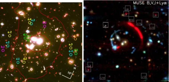 Figure 2. Lensing-assisted observations of dwarf galaxies at high redshift. Left: Multiple images of dwarf galaxies at z ∼ 1 − 3 behind the massive galaxy cluster Abell 1689 from Alavi et al.