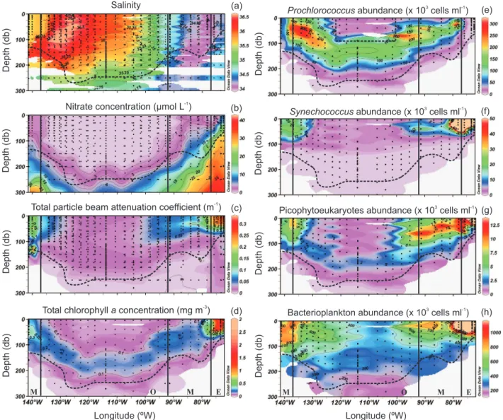 Fig. 4. Salinity (a), nitrate concentration in µmol L −1 (b), total particle beam attenuation coefficient in m −1 (c), total chlorophyll a concen- concen-tration in mg m −3 (d) Prochlorococcus (e), Synechococcus (f), picophytoeukaryotes (g) and bacteriopla