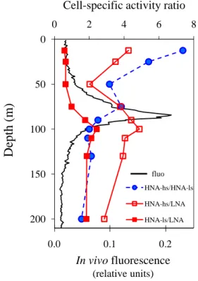 Fig. 5. Vertical distribution of ratios of cell-specific activities (HNA-hs to LNA, HNA-ls to LNA and HNA-hs to HNA-ls) and in vivo fluorescence at station A.