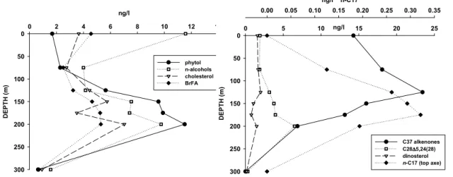 Fig. 4. Depth distribution of selected lipid biomarkers in the suspended particles from the gyre.