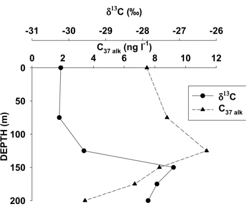 Fig. 6. Profiles for total C 37 alkenone concentrations and carbon isotope ratio (δ 13 C) for the diunsaturated C 37 alkenone.