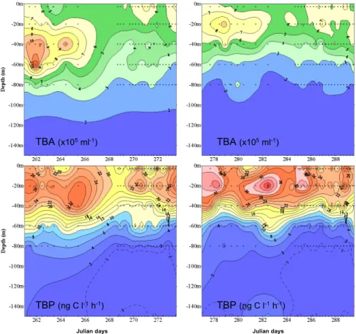 Fig. 1. Five week variations of total bacterial abundance (TBA) and total bacterial production (TBP) in the euphotic zone (0–150 m depth)