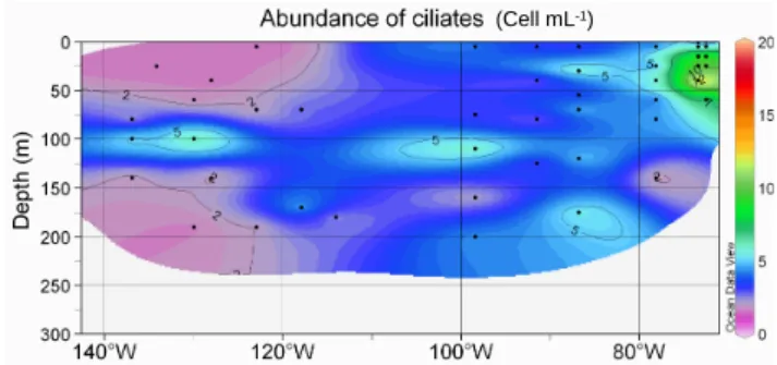 Fig. 11. Abundance of ciliates (cell mL − 1 ). Legend as in Fig. 5.