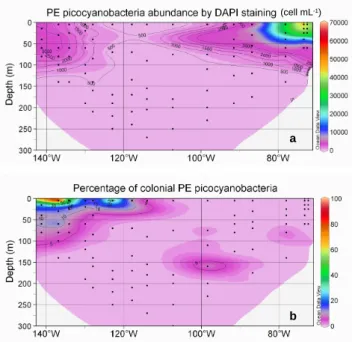 Fig. 6. Abundance obtained by DAPI counting of total eukaryotes (cell mL − 1 ) (a), autotrophic eukaryotes (cell mL − 1 ) (b), and  per-centage of heterotrophic eukaryotes in comparison with total  eu-karyotes (c)