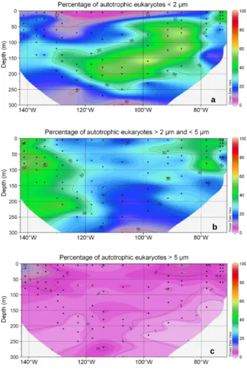 Fig. 8. Contribution of the different size classes to the abundance of autotrophic (Auto) and heterotrophic (Hetero) eukaryotes at the depth of chlorophyll maximum for the HNLC, Gyre, East of gyre and Chile upwelling regions.